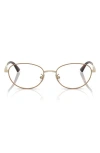 Jimmy Choo 51mm Oval Optical Glasses In Brown
