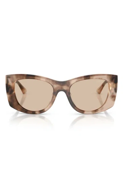 Jimmy Choo 52mm Butterfly Sunglasses In Brown