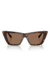 Jimmy Choo 53mm Cat Eye Sunglasses In Havana