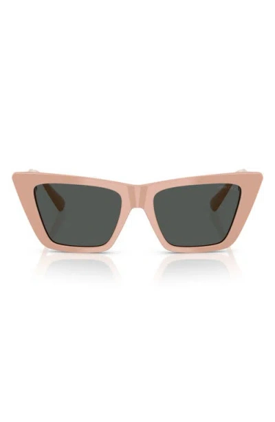 JIMMY CHOO JIMMY CHOO 53MM CAT EYE SUNGLASSES