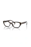 Jimmy Choo 53mm Oval Optical Glasses In Brown