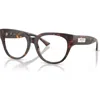 Jimmy Choo 53mm Phantos Optical Glasses In Brown
