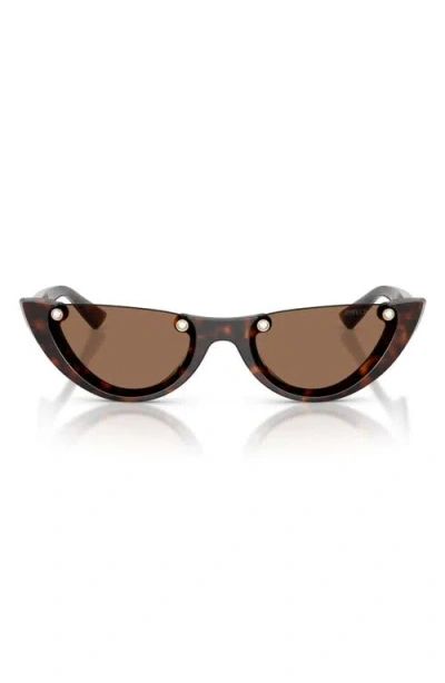 Jimmy Choo 53mm Semi Rimless Oval Sunglasses In Brown