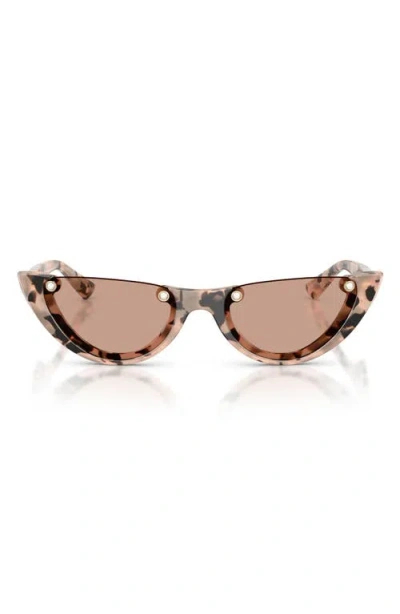 Jimmy Choo 53mm Semi Rimless Oval Sunglasses In Brown