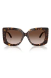 Jimmy Choo 54mm Butterfly Sunglasses In Havana