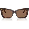 Jimmy Choo 54mm Butterfly Sunglasses In Brown