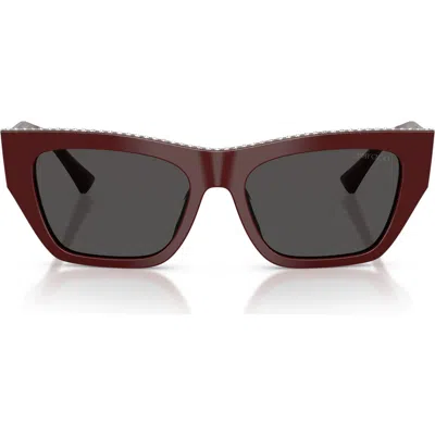 Jimmy Choo 54mm Cat Eye Sunglasses In Brown