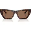 Jimmy Choo 54mm Cat Eye Sunglasses