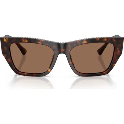 Jimmy Choo 54mm Cat Eye Sunglasses In Havana/dark Brown