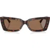 Jimmy Choo Havana Cat Eye Sunglasses In Brown