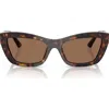 Jimmy Choo 54mm Cat Eye Sunglasses In Havana