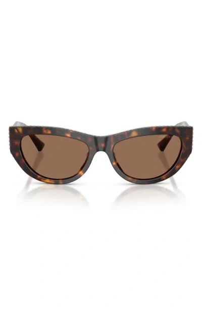 Jimmy Choo 54mm Cat Eye Sunglasses In Brown