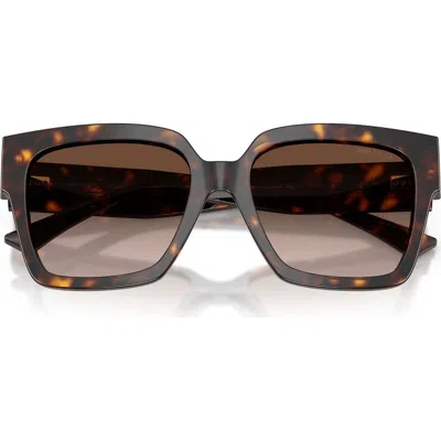 Jimmy Choo 54mm Gradient Square Sunglasses In Black