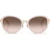 Jimmy Choo 54mm Phantos Sunglasses