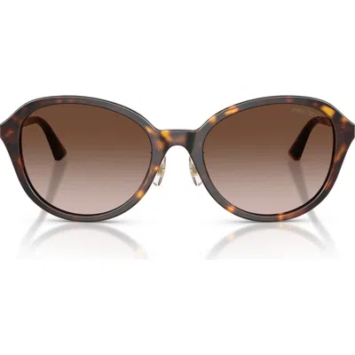 Jimmy Choo 54mm Phantos Sunglasses In Brown