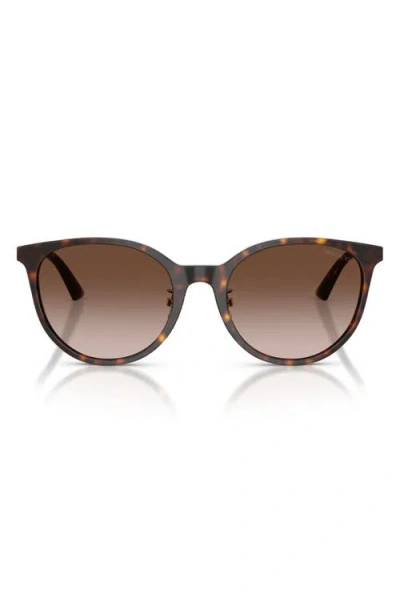 Jimmy Choo 54mm Phantos Sunglasses In Brown