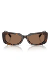 Jimmy Choo 54mm Polarized Pillow Sunglasses In Havana