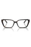 Jimmy Choo 55mm Cat Eye Optical Glasses In Brown