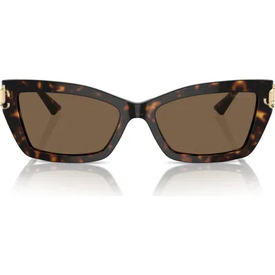 Jimmy Choo 55mm Cat Eye Sunglasses In Brown