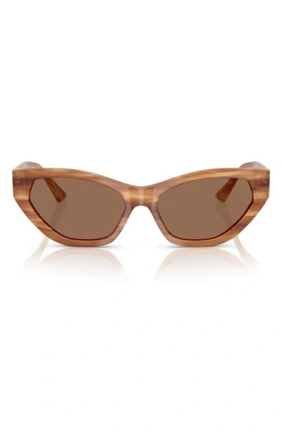 Jimmy Choo 55mm Cat Eye Sunglasses In Brown Havana