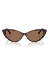 Jimmy Choo 55mm Cat Eye Sunglasses In Havana