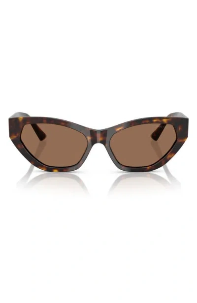 Jimmy Choo 55mm Cat Eye Sunglasses In Havana