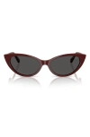 Jimmy Choo 55mm Cat Eye Sunglasses In Red