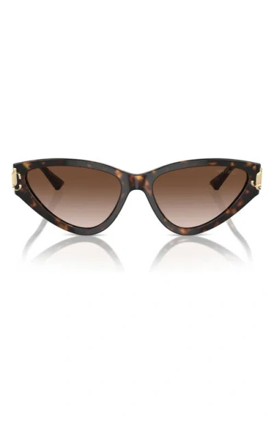 Jimmy Choo 55mm Gradient Cat Eye Sunglasses In Brown
