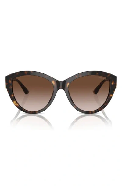 Jimmy Choo 55mm Gradient Phantos Sunglasses In Brown