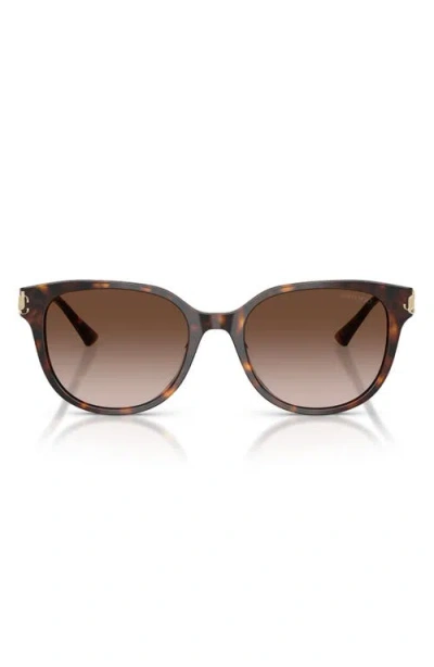 Jimmy Choo 55mm Gradient Phantos Sunglasses In Brown