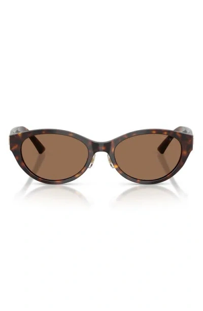 Jimmy Choo 55mm Oval Sunglasses In Brown