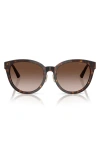 Jimmy Choo 55mm Phantos Sunglasses In Havana