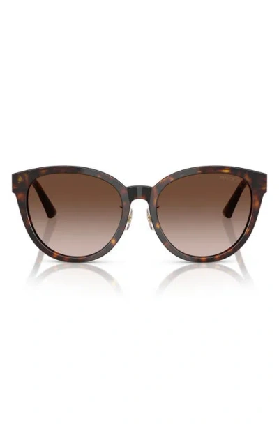 Jimmy Choo 55mm Phantos Sunglasses In Havana