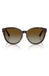 Jimmy Choo 55mm Phantos Sunglasses In Havana/brown Gradient