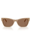 Jimmy Choo 55mm Pillow Sunglasses In Brown