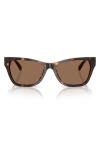 Jimmy Choo 55mm Pillow Sunglasses In Havana