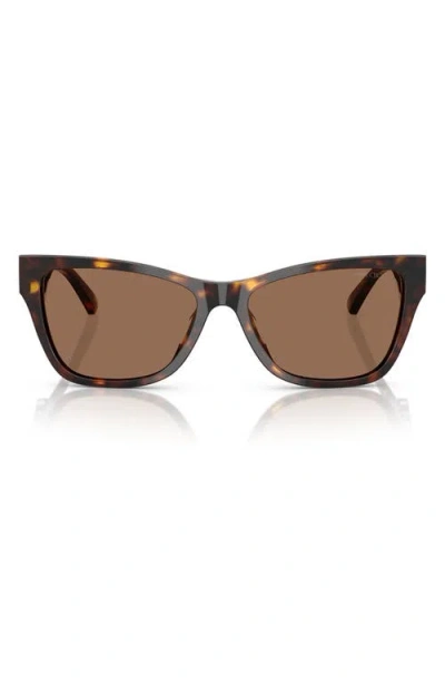 Jimmy Choo 55mm Pillow Sunglasses In Havana