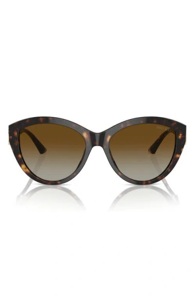 Jimmy Choo 55mm Polarized Gradient Phantos Sunglasses In Green