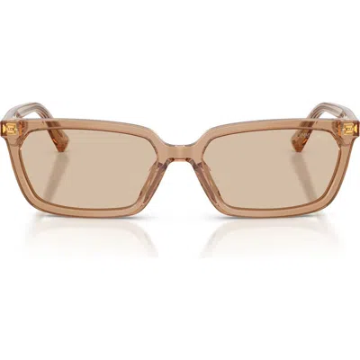 Jimmy Choo 55mm Rectangular Sunglasses In Brown