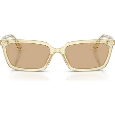 Jimmy Choo 55mm Rectangular Sunglasses In Yellow