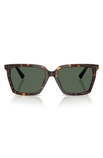 Jimmy Choo 55mm Square Sunglasses In Brown