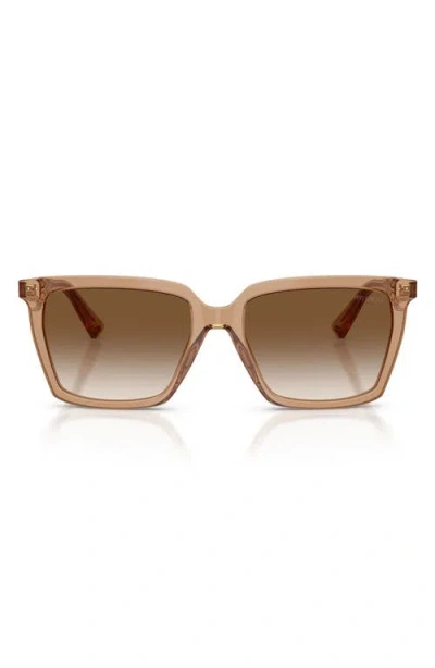 Jimmy Choo 55mm Square Sunglasses In Brown