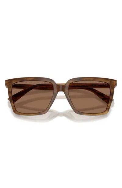 Jimmy Choo 55mm Square Sunglasses In Brown