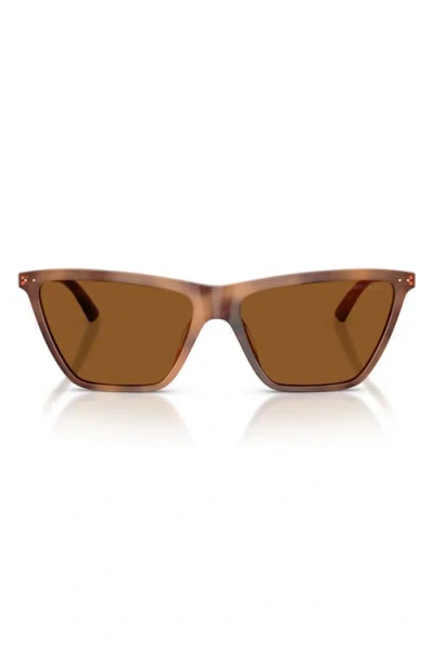 Jimmy Choo 56mm Cat Eye Sunglasses In Tan Havana/dark Brown