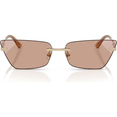 Jimmy Choo 60mm Cat Eye Sunglasses In Brown
