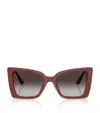 Jimmy Choo Acetate Butterfly Sunglasses In Burgundy