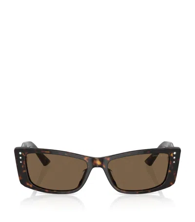 Jimmy Choo Acetate Jc5002bu Sunglasses In Brown