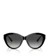 Jimmy Choo Womens Black Jc5007 Phantos-frame Actetate Sunglasses In Black