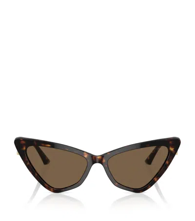 Jimmy Choo Acetate Jc5008 Sunglasses In Brown