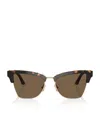 Jimmy Choo Acetate Jc5014 Sunglasses In Brown
